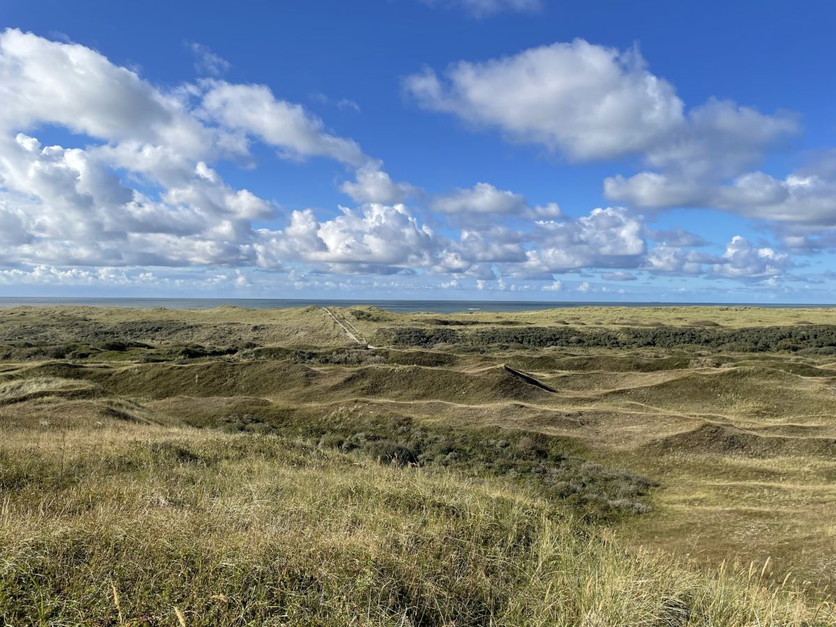 Uitkijken op Texel vanaf Bertusnol 