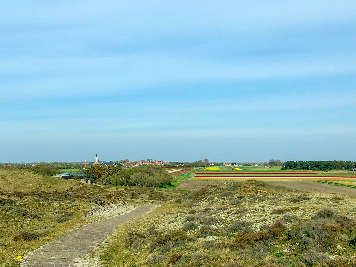 Artikel Uitkijkpunten Loodsmansduin IMG 9753 1