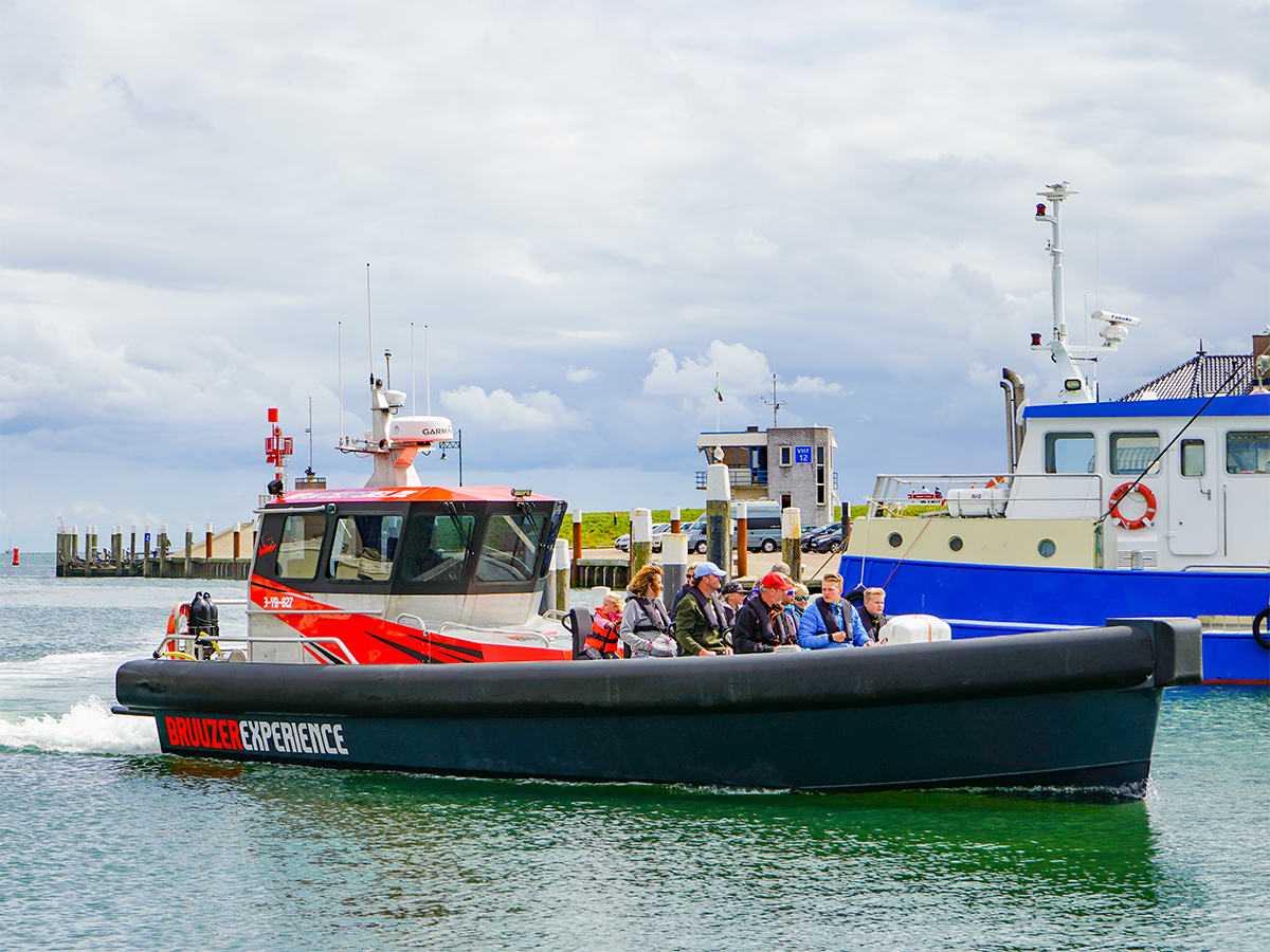 Zeehonden kijken met de Bruuzer 