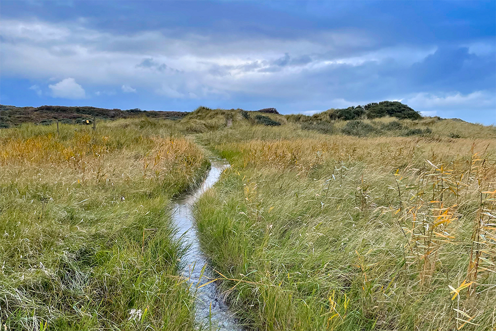 Ketsnatte paadjes nadat de slufter vol water stond