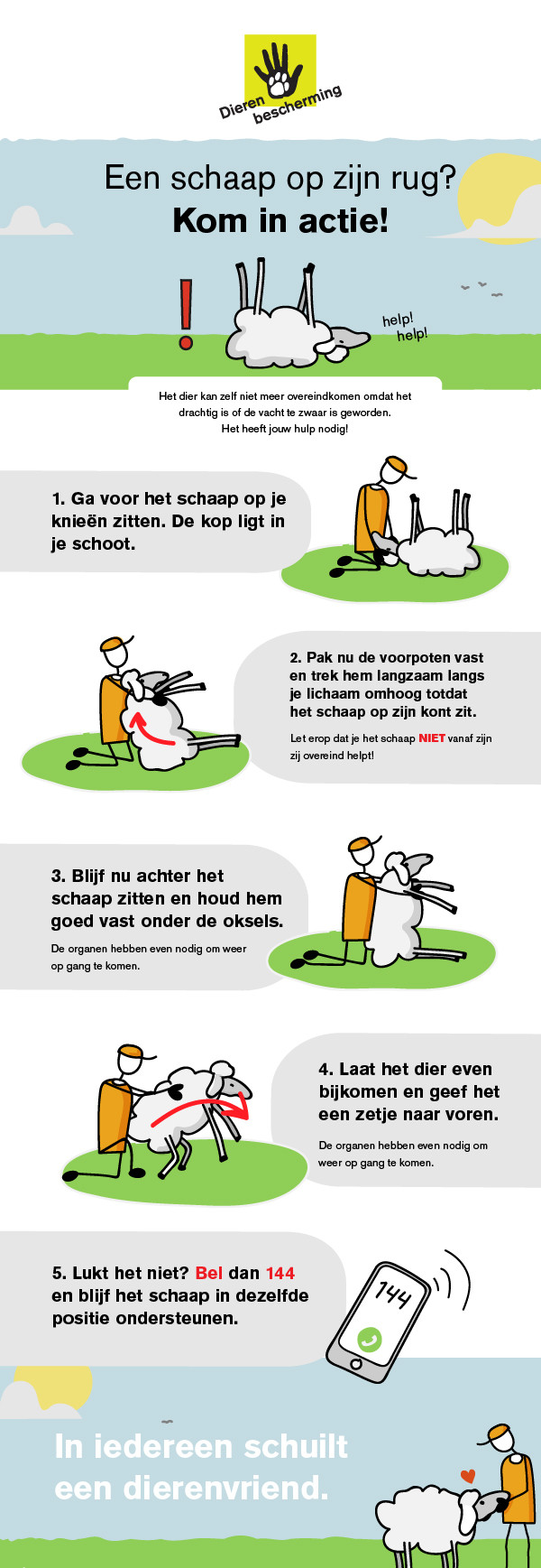 Schaap op de rug