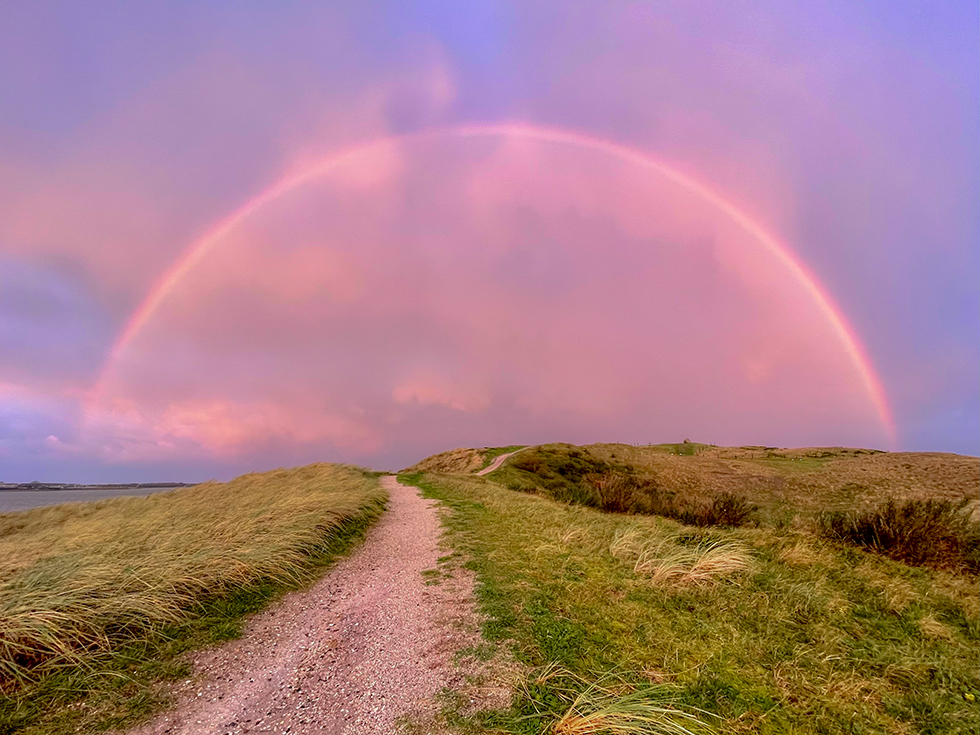 Workshop regenboog IMG 5941 980