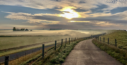 Texel