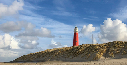 Texel