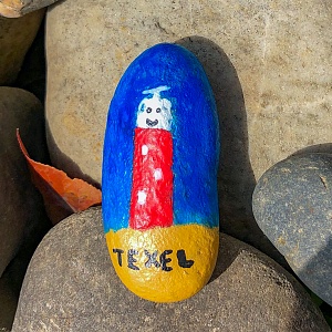 Voorbeelden van Texelse Happy Stones